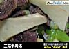 三菇牛肉汤的做法