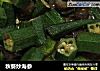 秋葵炒海参的做法