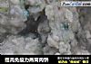 提高免疫力燕窝肉饼的做法
