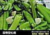蒜香空心菜的做法