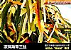 凉拌海带三丝的做法