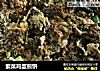 紫菜鸡蛋煎饼的做法