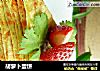 胡萝卜蛋饼的做法