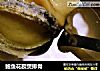 鲍鱼花胶煲排骨的做法