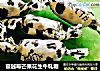 蔓越莓芒果花生牛轧糖的做法
