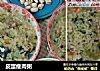 皮蛋瘦肉粥的做法