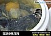 花旗参炖乌鸡的做法