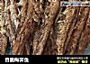 香脆梅霁鱼的做法