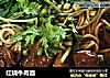 红烧牛肉面做法(44)的做法