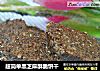 超简单黑芝麻酥脆饼干的做法