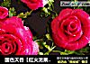 国色天香【红火龙果版凉皮创意拼盘】的做法