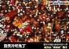 自贡冷吃兔丁的做法