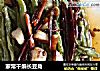 家常干煸长豆角的做法