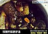 玫瑰竹荪鸽子汤的做法