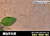 潮汕芋头泥的做法