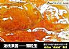 油桃果酱——颗粒型的做法