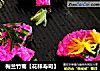 梅兰竹菊【花样寿司】的做法