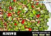 肉沫四季豆的做法