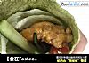 【食在Fastee】DIY香喷喷墨西哥鸡肉卷的做法