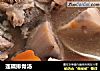 莲藕排骨汤的做法