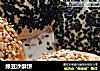 绿豆沙酥饼的做法