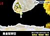 黄金翡翠饺的做法