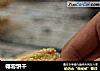 椰蓉饼干的做法