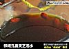 桦褐孔菌灵芝泡水的做法