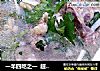 一羊四吃之一  超香的羊肉汤的做法
