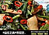 香菇空心菜的做法