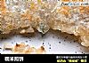糯米煎饼的做法
