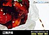 江南子排的做法