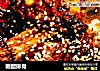 糖醋排骨的做法