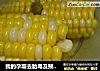玉米连须炖水的做法