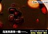 乌发养颜来一碗——首乌黑豆汤的做法