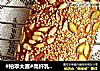 #柏翠大赛#高纤乳酪面包的做法
