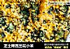 芝士烤西兰花小米的做法