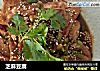 芝麻豆腐的做法