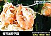 裙带菜虾子面的做法