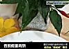 香煎假蒌肉饼的做法