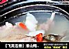 【飞禽走兽】淮山枸杞乳鸽煲的做法