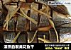 清蒸自制黄花鱼干的做法