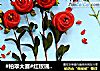 #柏翠大赛#红玫瑰花面包的做法