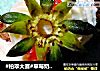 #柏翠大赛#草莓奶油巧克力蛋糕——蛋糕边角料也有春天的做法