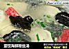 蛋饺海鲜粉丝汤的做法