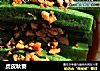 虎皮秋葵的做法
