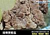 排骨煲冬瓜的做法