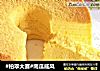 #柏翠大赛#南瓜戚风的做法