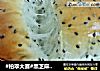 #柏翠大赛#黑芝麻蔓越莓干吐司的做法