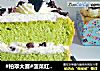 #柏翠大赛#菠菜红豆蛋糕的做法